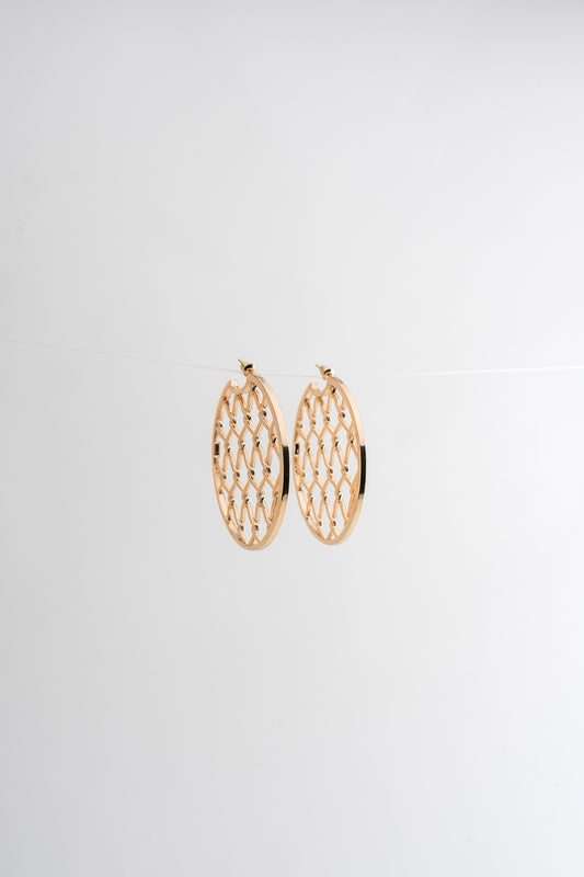 Golden Ezra Earrings - Hustle N Holla