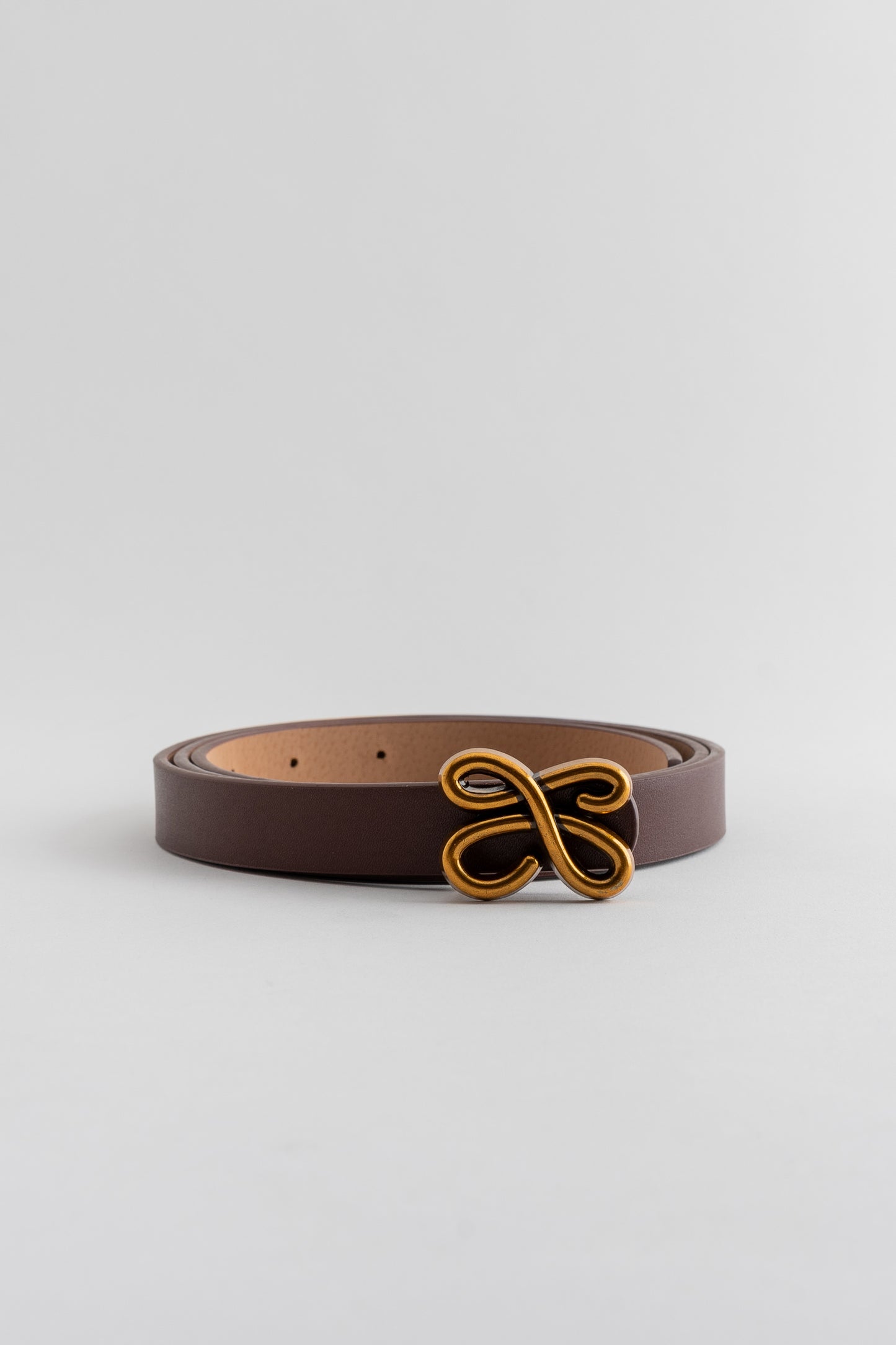 Belt with Gold Buckle Detail