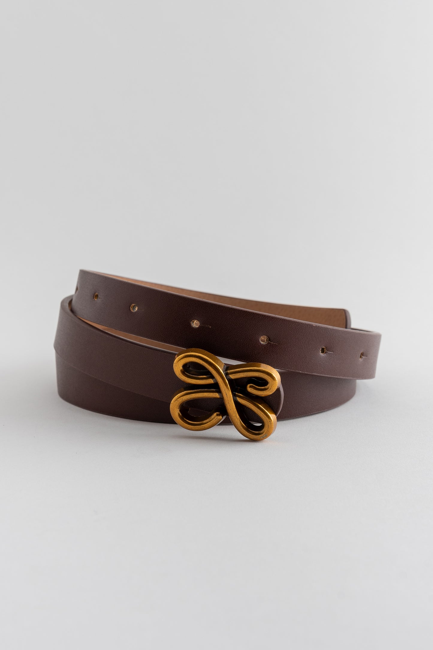 Belt with Gold Buckle Detail
