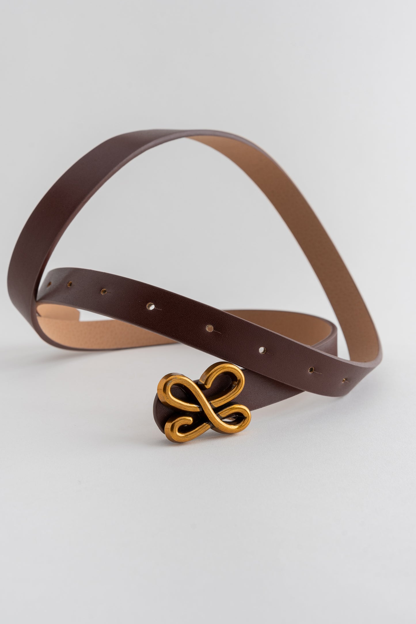 Belt with Gold Buckle Detail