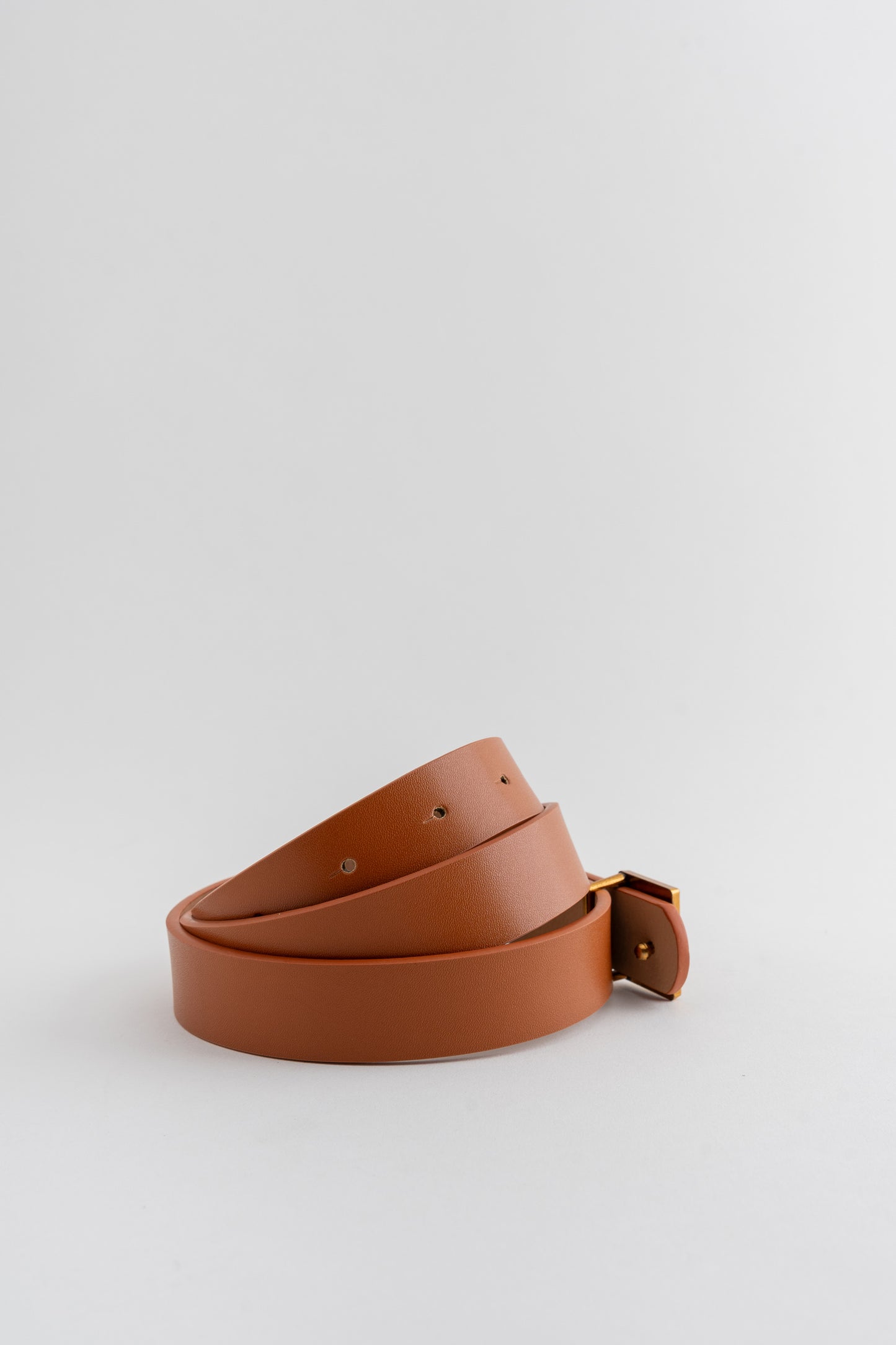 Brown Belt with Buckle Detail