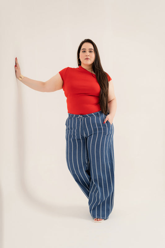 Striped Plus Size Straight Fit Denim Jeans - Hustle N Holla