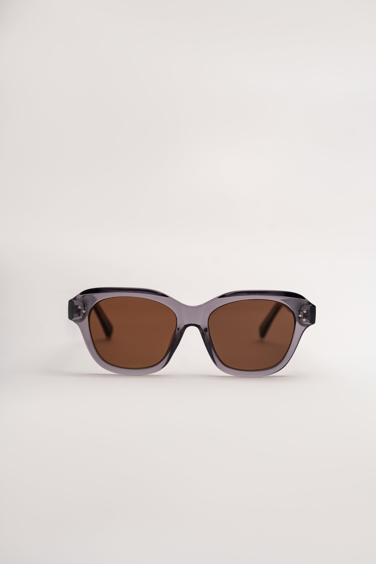 Black Frame Sunglasses