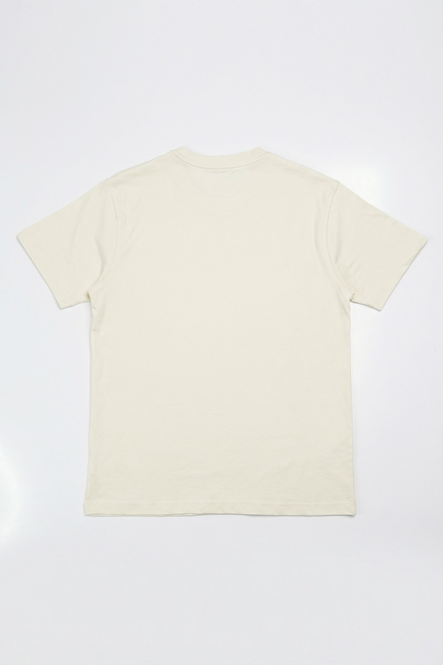 Beige Boxy Fit T-Shirt