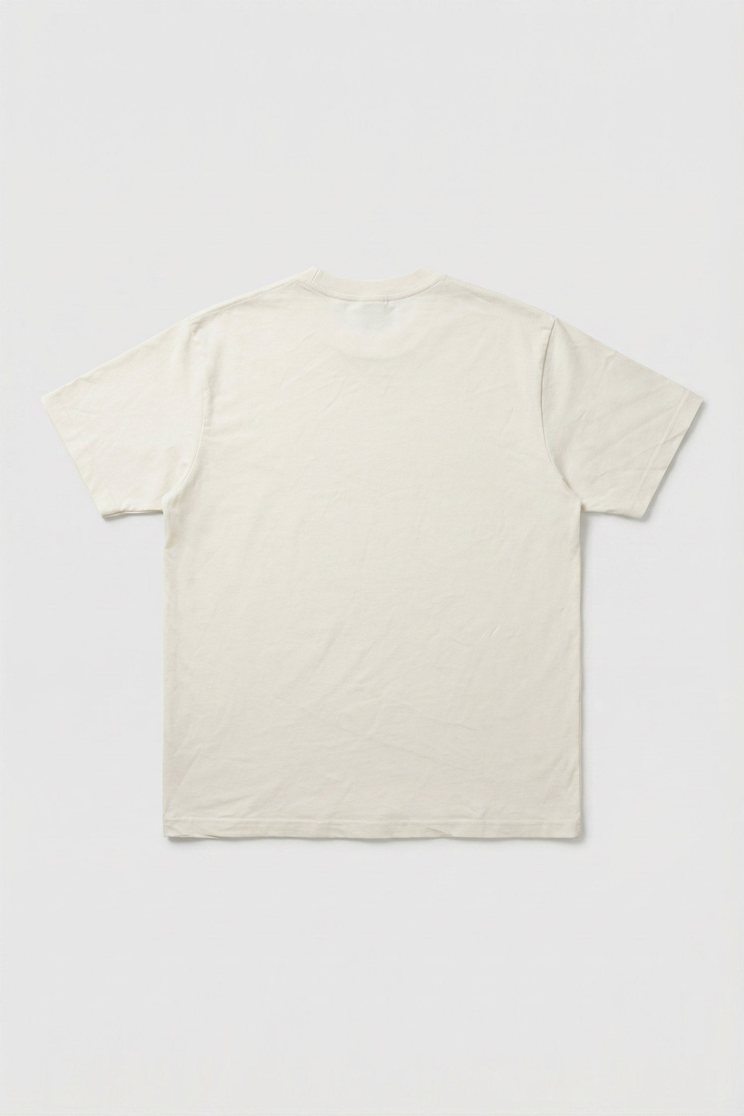 Basic White Regular Fit T-Shirt - Hustle N Holla